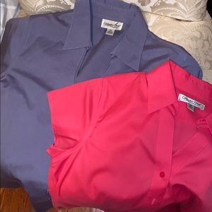 Button down shirt 2 for 1